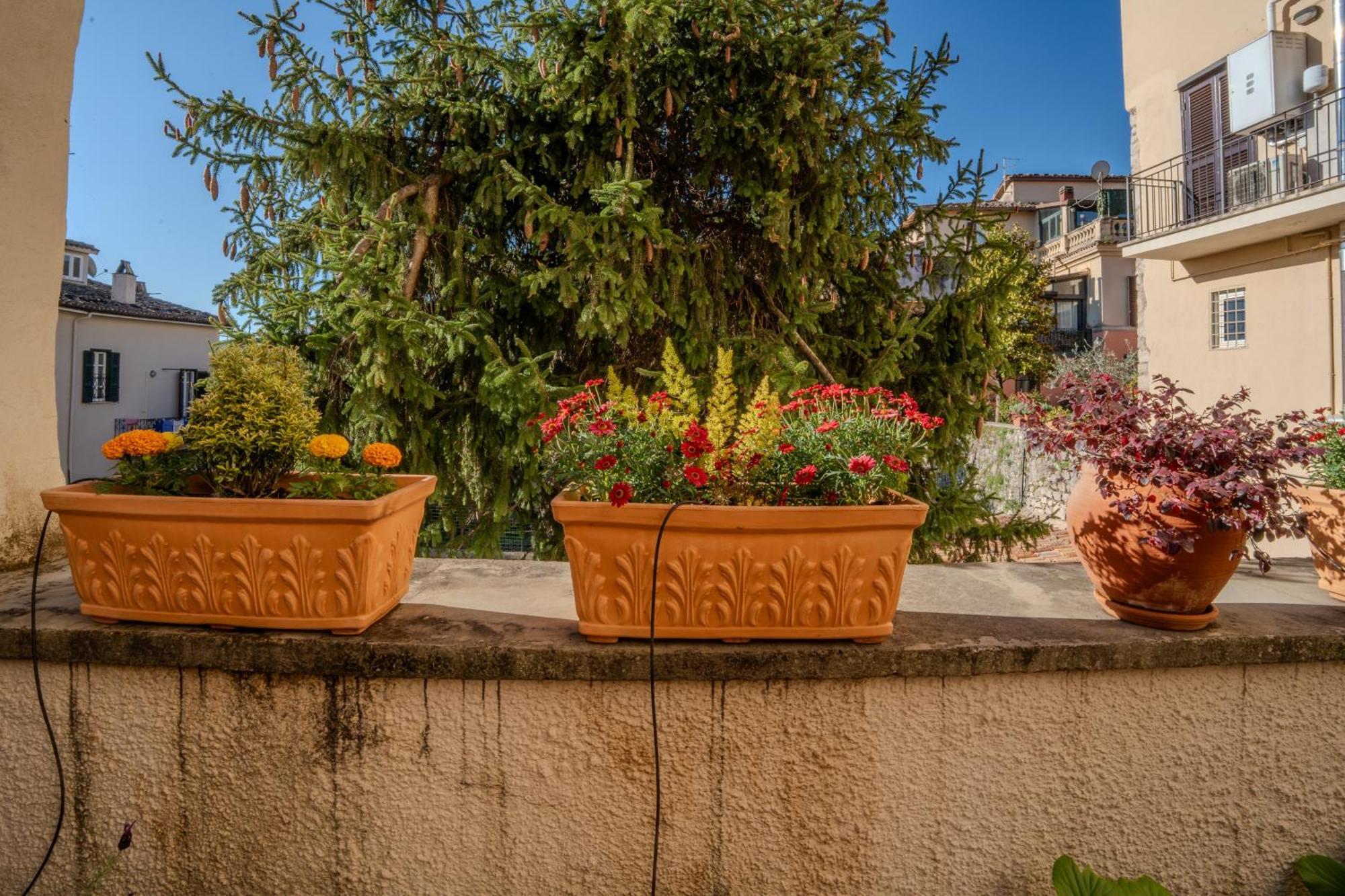 "Le Caraffe" Alatri - Alloggio Per Uso Turistico Buitenkant foto